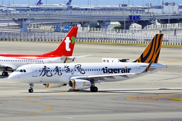Tigerair Taiwan B-50015