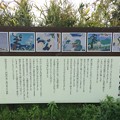 Photos: 門池の竜伝説