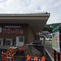 Photos: 稲取漁港直売所こらっしぇ