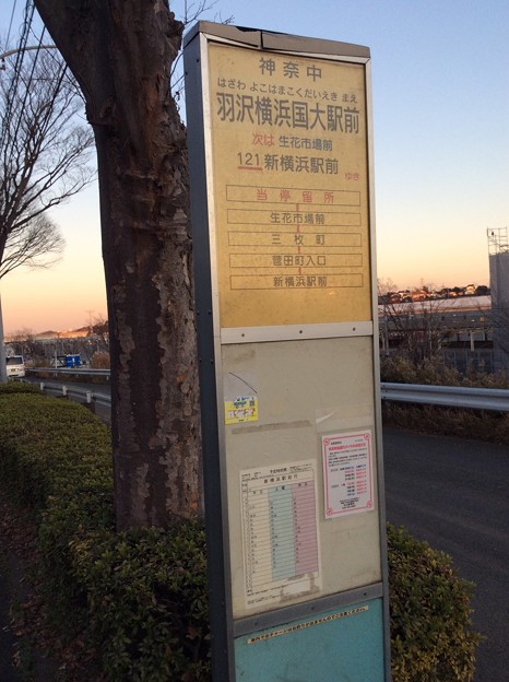 羽沢横浜国大駅20   ～新横浜駅方面バス停～