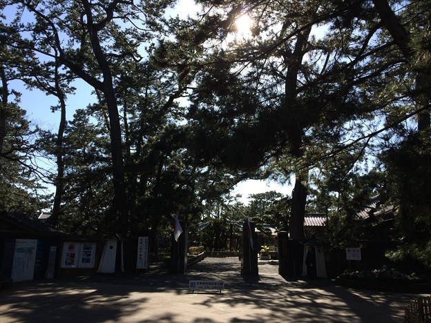 Photos: 沼津御用邸記念公園にて４　～梅園２～