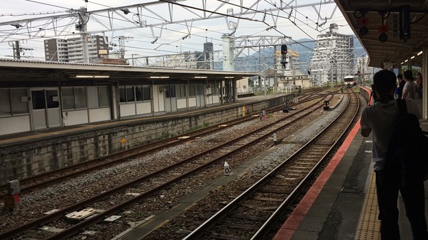 富士駅５　～特急ふじかわ入線１～
