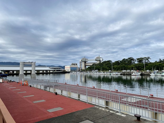 Photos: 沼津港界隈３