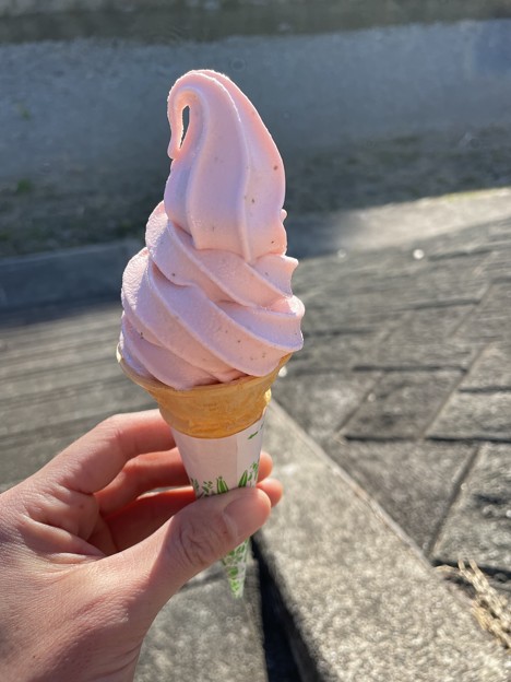 桜ソフトクリーム