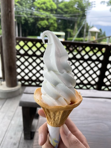 牛乳ソフトクリーム　～杉尾地区　大畑牧場３～