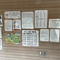 Photos: 長島ダム駅38