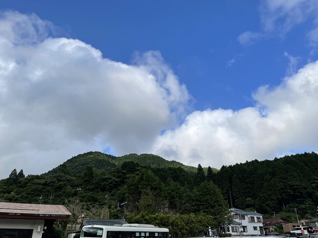 夏の箱根の山