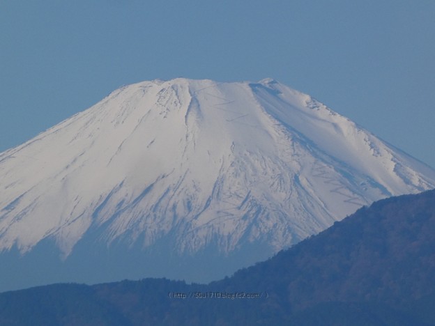 Photos: 211115-富士山 (4)