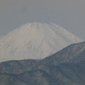 Photos: 220107-富士山 (3)