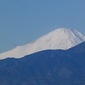 Photos: 220114-富士山 (5)