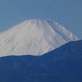 Photos: 220114-富士山 (6)