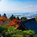 Photos: 百済寺の秋