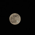 満月（Nikon1 V1）