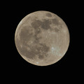 満月（Nikon1 V1）トリミング