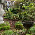 Photos: もみじ園庭園