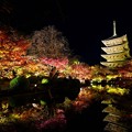 Photos: 東寺の紅葉ライトアップ1