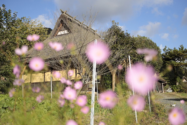 京都・美山かやぶきの里31