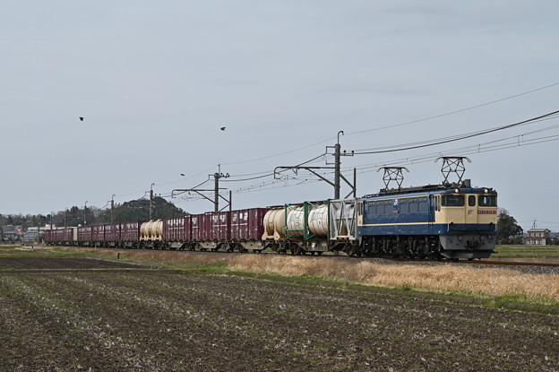 貨物列車 (鹿島貨物) EF652087