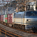 貨物列車 (EF66 130)