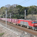 貨物列車 (EH500-17)