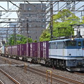 貨物列車72ﾚ (EF652085)