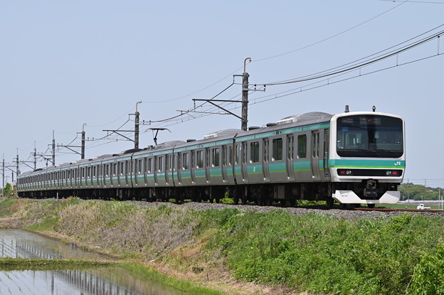 成田線普通列車 (E231系10両)