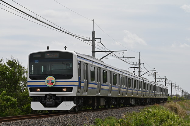 成田線 (我孫子～成田) 120周年記念列車 846M