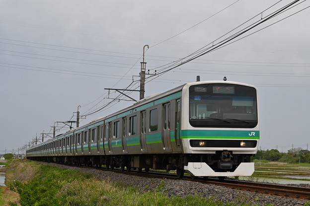 成田線普通列車 (E231系)