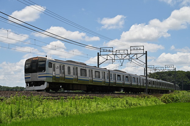 成田線快速列車 (E217系)