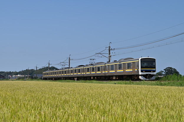 成田線普通列車 (209系)