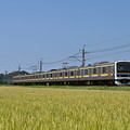 成田線普通列車 (209系)