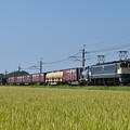 Photos: 貨物列車 1093レ (EF652067)