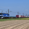 Photos: 貨物列車 1094レ (EF210-111)