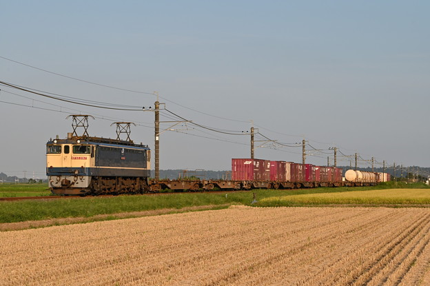 貨物列車 1092レ (EF652067)