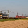 Photos: 貨物列車 1092レ (EF652067)
