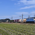 貨物列車 1093レ (EF652101)