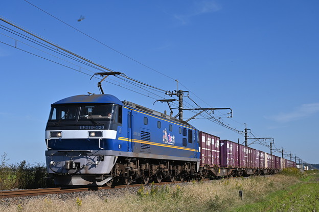 貨物列車 1094レ (EF210-330)