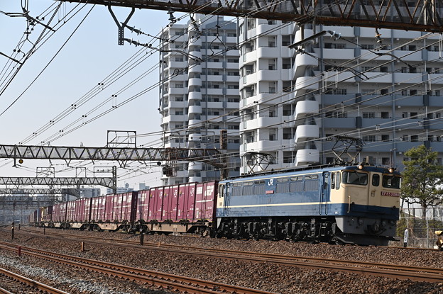 貨物列車 (EF652088)