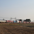 コンテナ貨物列車 (EF66130)