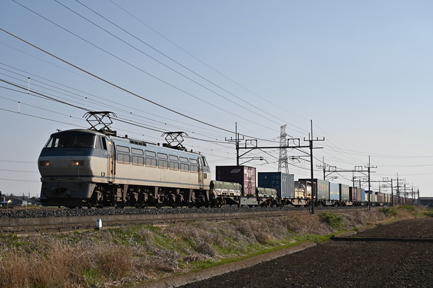 貨物列車 (EF66113)