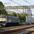 貨物列車 臨配8592ﾚ (EF652081)
