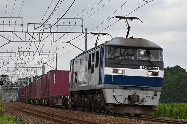 Photos: 貨物列車 1094レ (EF210-172)