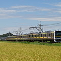 Photos: 成田線普通列車 (209系)