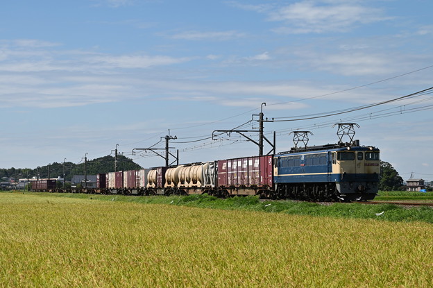 Photos: 貨物列車 (EF652097)