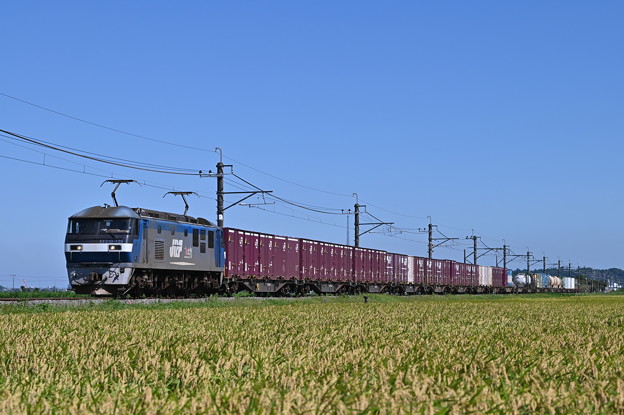 Photos: 貨物列車 (EF210-135)