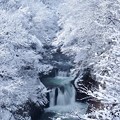 Photos: 雪景色