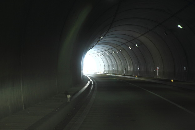 青森ホタテ海道トンネル