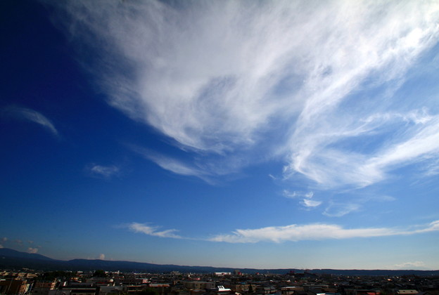 Photos: 自由な雲