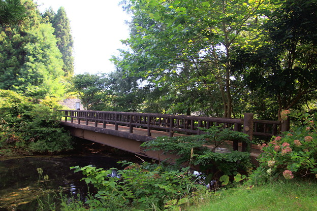 Photos: 野木和散策橋