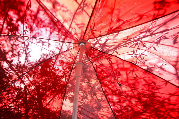 日傘の紅葉